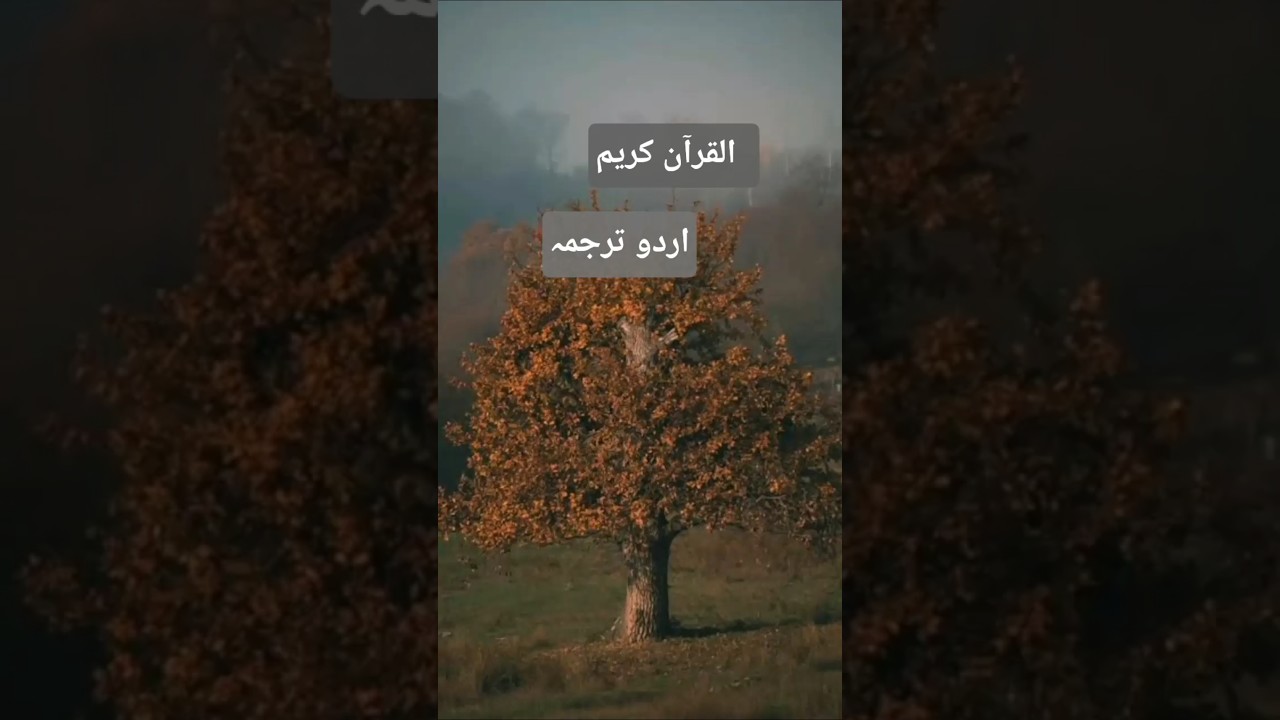 ہم نے اس کو پہلے بھی  تو پیدا کیا تھا