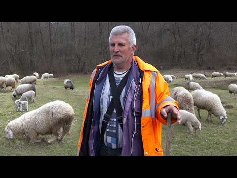 "Da mi nije žene ja ne bih mogao ništa sam, ona ih janji, liječi..."