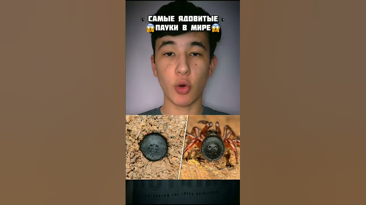 Самые Ядовитые Пауки в Мире!😱 #shorts #паук #ядовитый