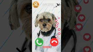 Download Lagu Doctor🤙😺 #ringtone #cat #trending #cutecat #youtubeshorts #viralshort #calling #kitten #dog #heysiri MP3