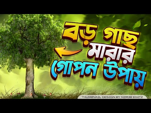 ভিডিও: কিভাবে একটি বৃষ্টির জল সংগ্রহ ব্যবস্থা তৈরি করবেন: 13 টি ধাপ