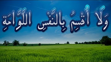 وَلَا أُقْسِمُ بِالنَّفْسِ اللَّوَّامَةِ ...#سورة_القيامة##حالات واتس اب قران##واتس اب #دينية