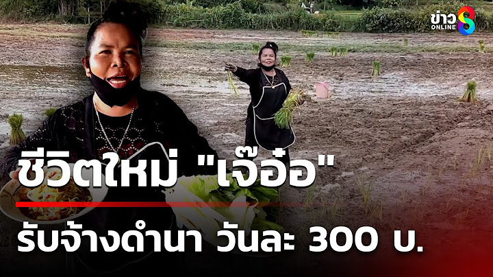 เปิดชีวิต “เจ๊อ๋อ 90 ล้าน” รับจ้างดำนาวันละ 300 บาท | 13 ก.ค. 68 | คุยข่าวเช้าช่อง8