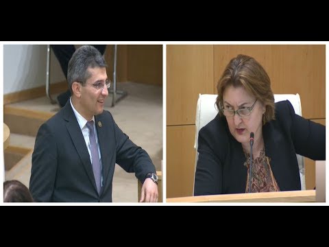 ძალიან უნიჭო და ვულგარულია, შეცვალეთ მთავარი დემაგოგი პარტიაში  - ადა მარშანია მამუკა მდინარაძეზე