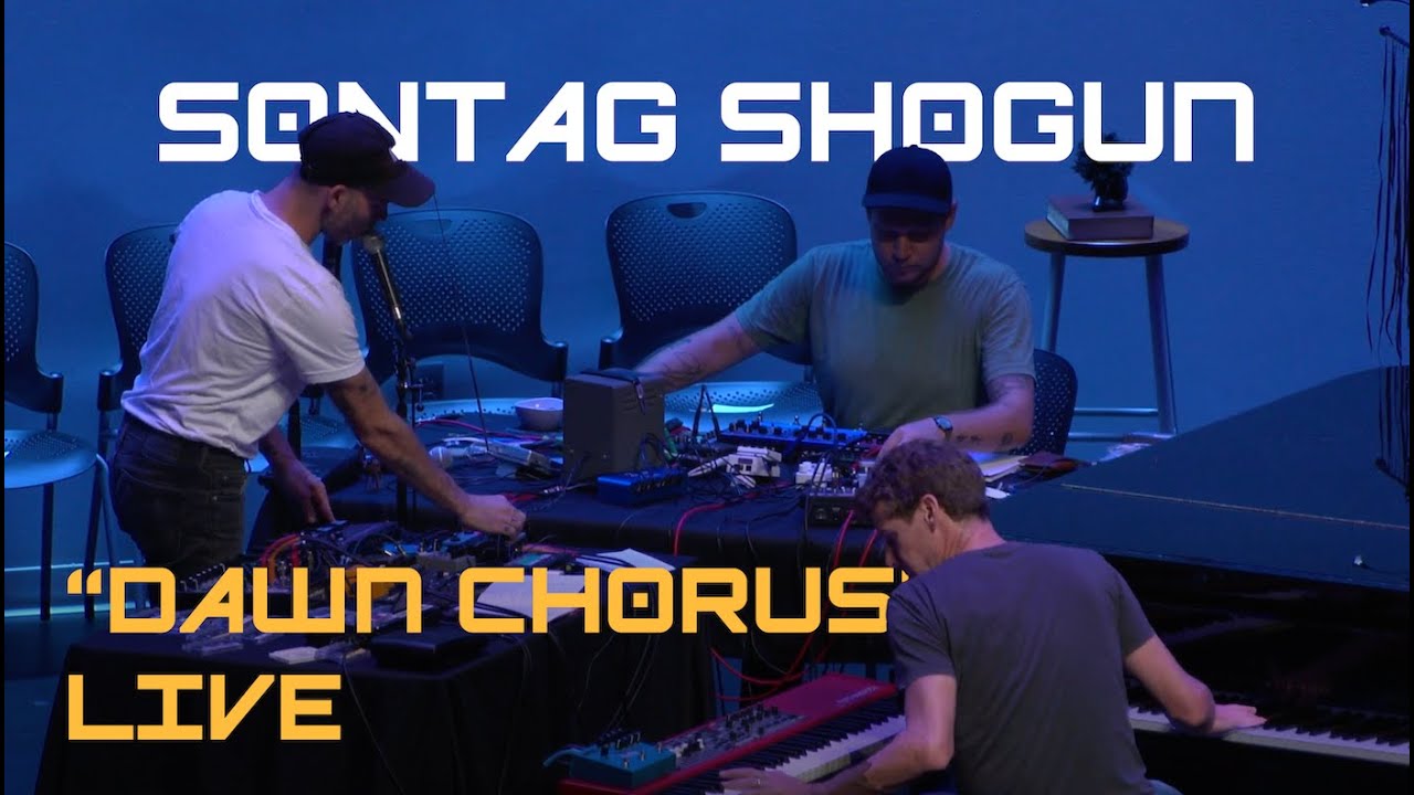 Sontag Shogun — "Dawn Chorus" Live (Thom Yorke cover)