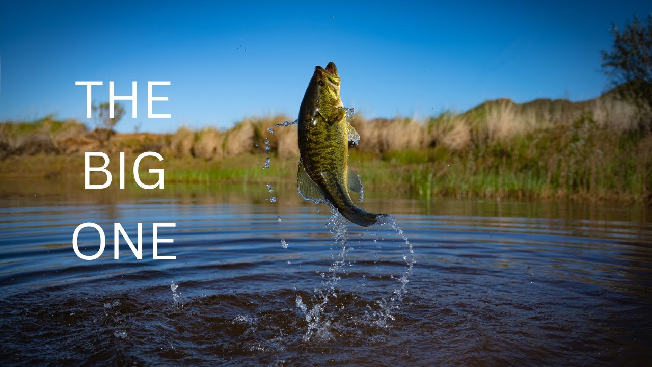 THE BIG ONE #bigfish #bigbass #fishingstory