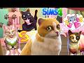 Let39s run a cat cafe in the sims 4 Sims 4 small business