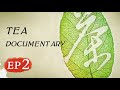 Tea EP2 | 茶，一片树叶的故事 | Documentary