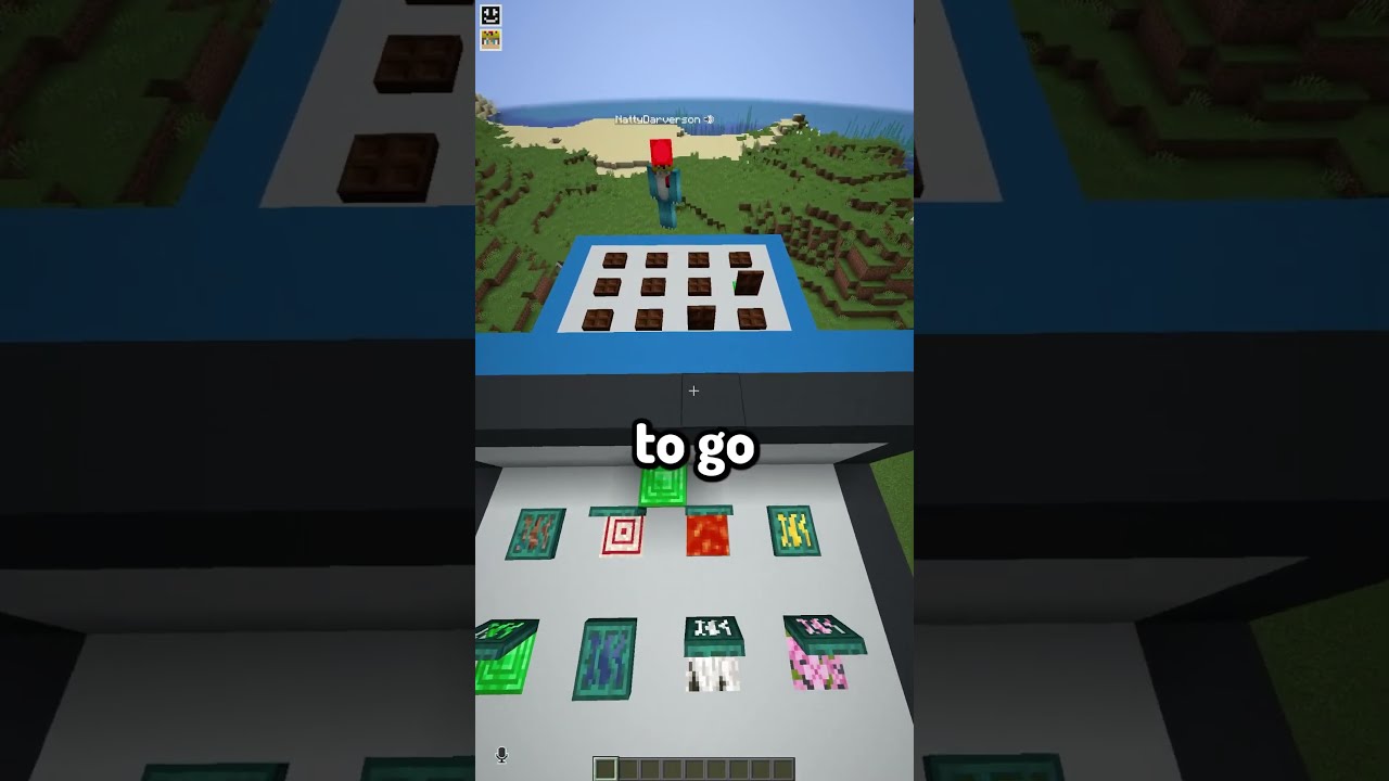 Minecraft Guess Who 47
