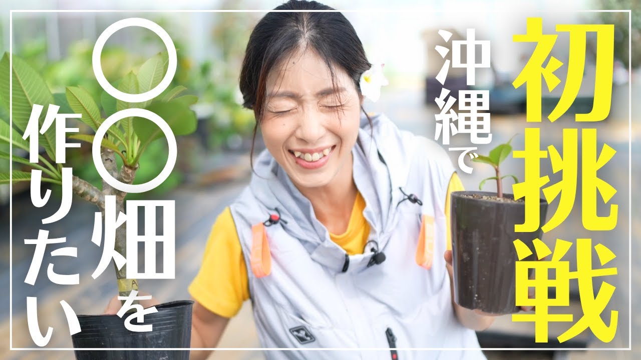 Finally launched!] Okinawa's first 