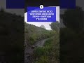 בזכות התרעה בטלפון: אישה נכנסה מתחת לגשר עם כלבתה - וניצלה מסופת ברד