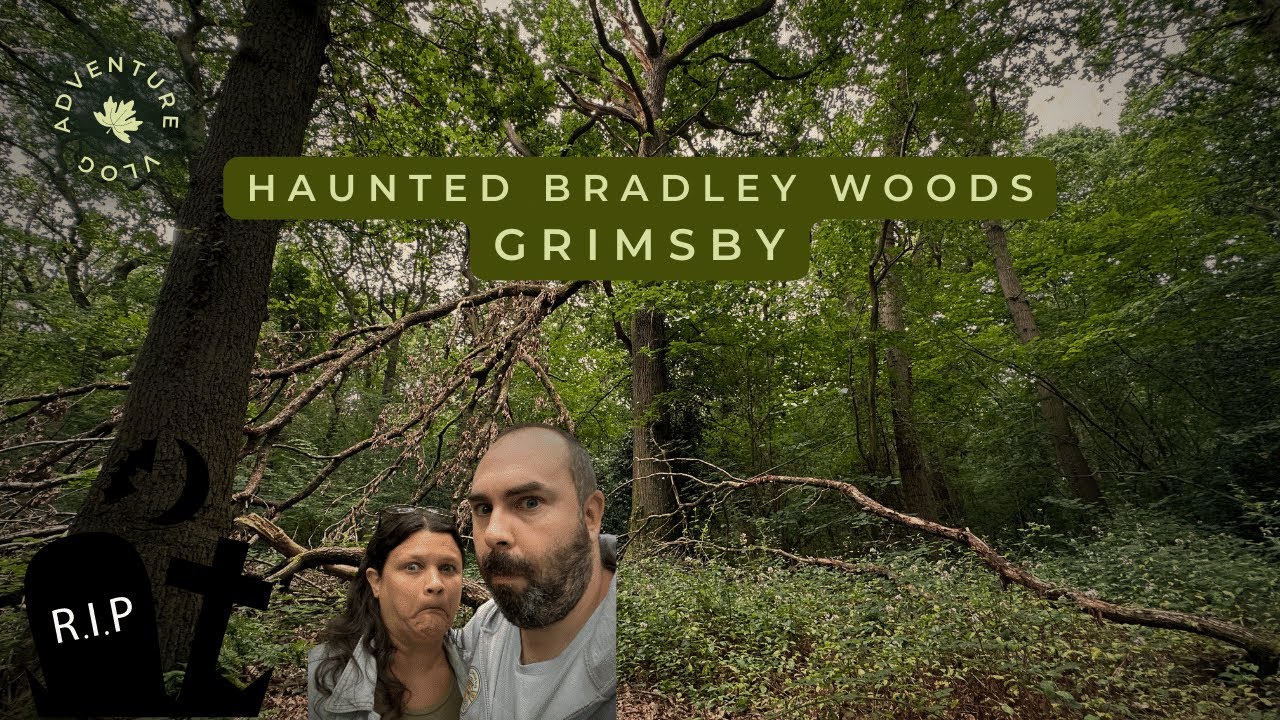 Haunted Bradley Woods ? If You go down to the woods today