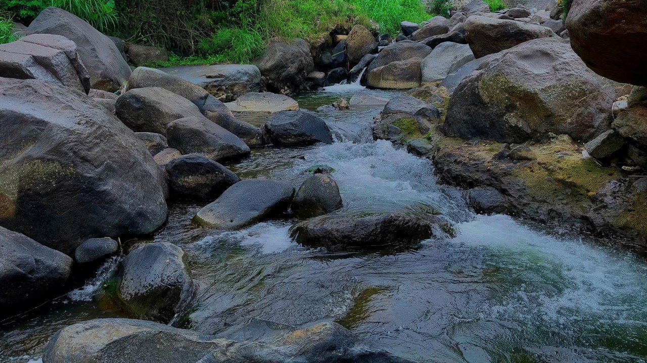 Mountain Stream Nature Sounds | Peaceful River Flow, Relaxing Forest Ambience