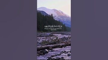 القارئ عبدالرحمن مسعد | آيات من سورة مريم