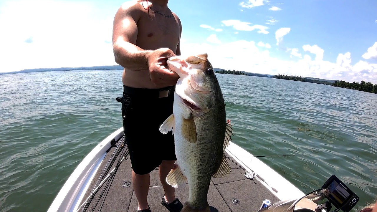 Bass Fishing Lake Guntersville June 2020 YouTube