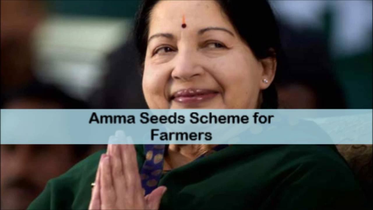 Amma Seeds Scheme for Farmers