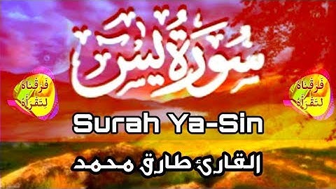 تلاوة تفيض جمالًا سورة يس [ كاملة ] أرح قلبك و مسمعك ابداع القارئ المصري طارق محمد | فرقناه لتقرأه