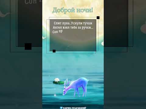 Доброй ночи!