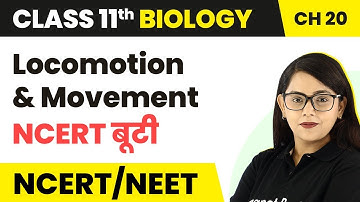 Locomotion and Movement  | Class 11 Biology Chapter 20 NCERT/NEET | 2024-25