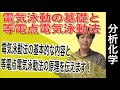 電気泳動法①「基礎、等電点電気泳動法」