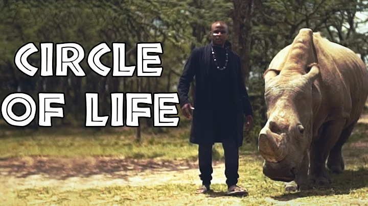 The Lion King - "Circle of Life" | Alex Boye ft. A...