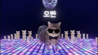 OIIA Cat x Gangnam Style (PSY Remix)