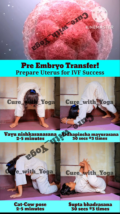 Prepare Uterus for IVF Success | Pre Embryo Transfer Yoga | Fertility Yoga for Proper Implantation