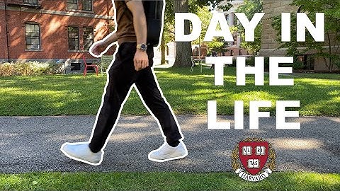 A Day as a Harvard Physics PhD Student