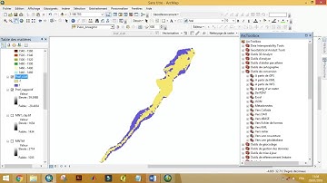 Export Raster vers Polygone  Arcgis