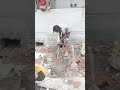 plumber😞SHKIL 333