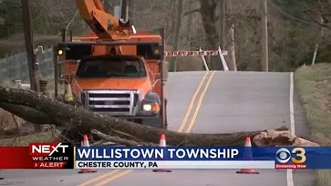 Trees down in Willistown Township