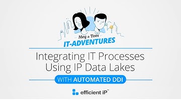 Integrating IT Processes Using IP Data Lakes