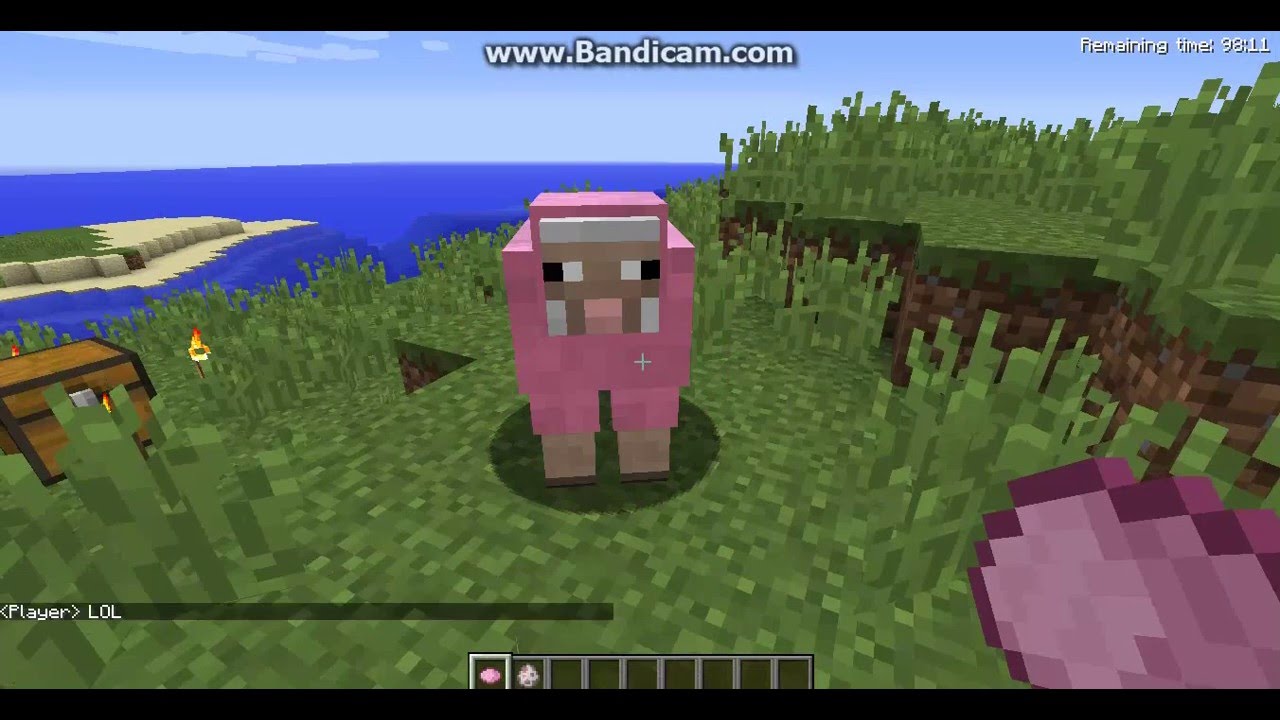 How to make PINK SHEEP in Minecraft! 