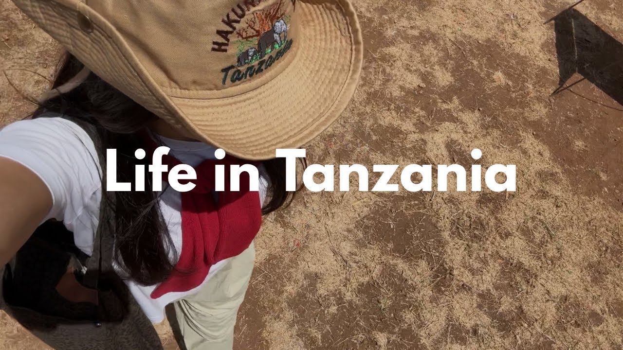 sub) 🇹🇿 탄자니아 VLOG :: 두달만에 온 이삿짐 정리 | 탄자니아 소품샵 | 염소 레이스