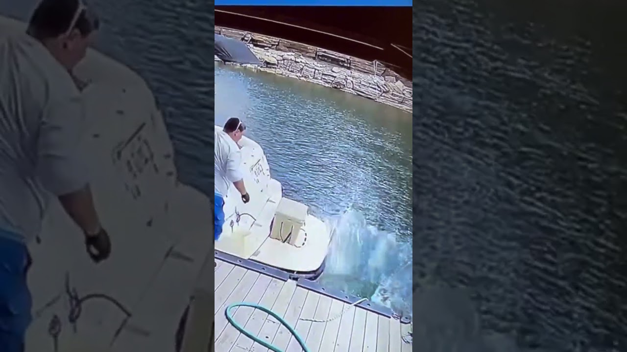 For the record Mark Wheat can’t fly….but it’s a good thing he can swim…