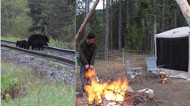 Mountain Camping With Wife - 12 Bears in One After...