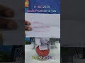 Today God promise to you//Anbu bible group//11/02/2024//christan shorts videos
