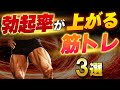 【筋トレ科学】ペニスの勃起率を上げる筋力トレーニング法3選 ~神経・ホルモン・血流を支配しデカく硬くする~