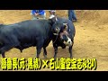 源番長(元：黒猿)ｘ石山聖空宝志みおり 2019.9.15　【沖縄闘牛】