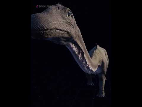 Vídeo: El diplodocus tenia plomes?