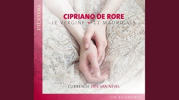 Thumbnail of Le vergine intro (Live)