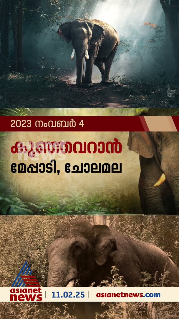 കാട്ടാന ആക്രമണത്തിൽ ഒന്നര വർഷത്തിനിടെ പൊലിഞ്ഞത് 11 ജീവൻ