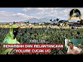 Menambah Dan Melantangkan Volume Cucak Ijo Mp3 - Mp4 Download