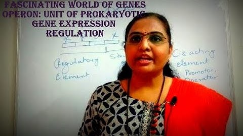 Operon,Cis Acting Element and Trans Acting Product Concept : Prokaryotic Gene Expression Regulation