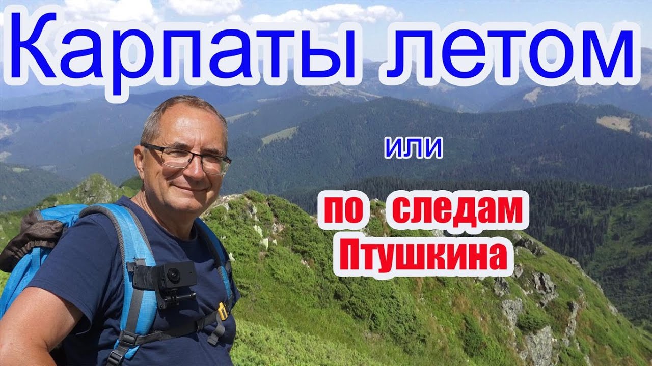 Машина птушкина микроб