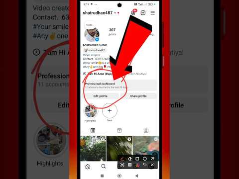 instagram professional dashboard