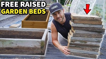 I Built A DEEP Raised Garden Bed With FREE Lumber!