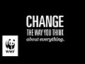 Change the way you think about food  wwf expat team