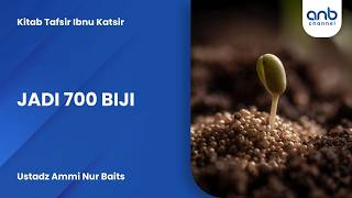 Jadi 700 Biji | Ustadz Ammi Nur Baits