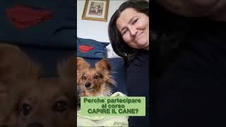 SOLO PER CHI AMA VERAMENTE I CANI